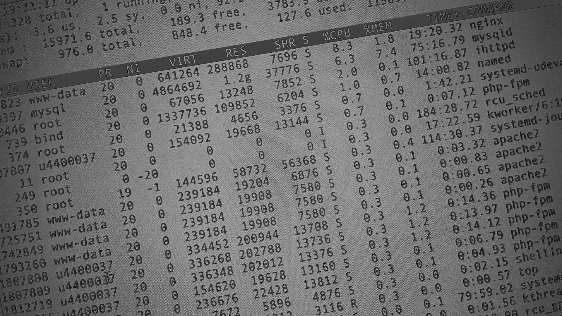 Настройка сервера в Мурино