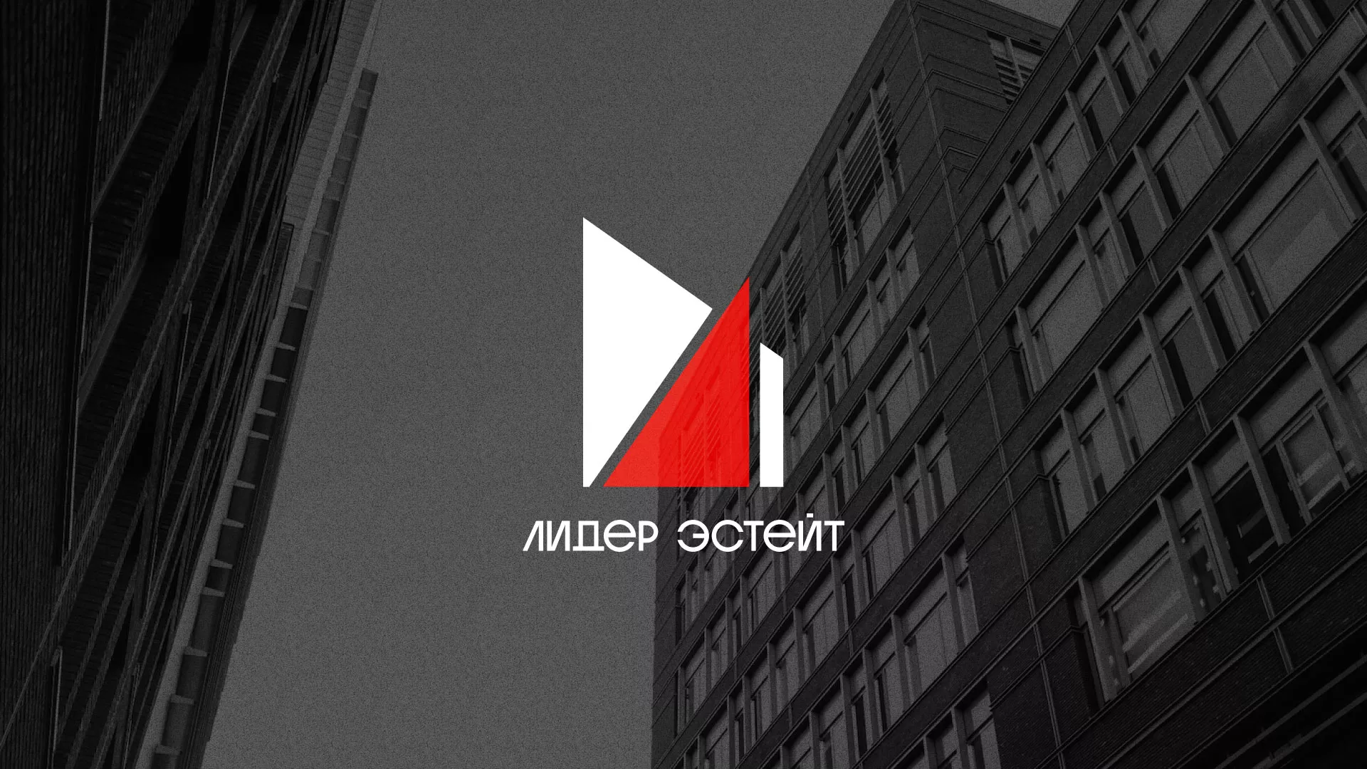 Сделали логотип для агентства недвижимости «Лидер Эстейт» в Мурино